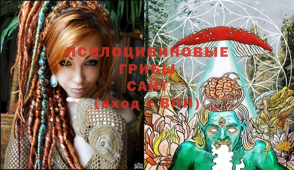 круглые Алексеевка
