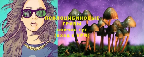 круглые Алексеевка